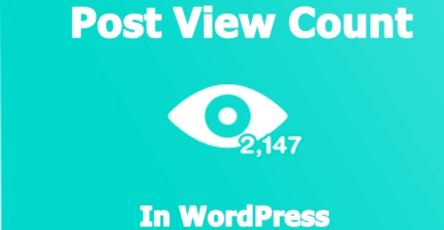 post-view-count-in-wordpress