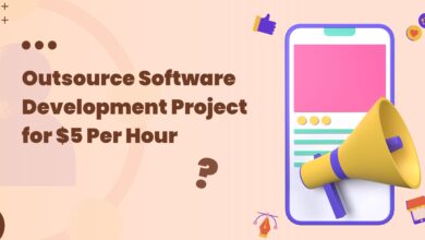 Outsource Software Development Project for $5 Per Hour
