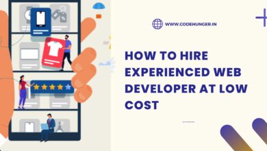 How to Hire Experienced Web Developer at Low Cost