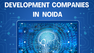 Top Website Development Companies in Noida