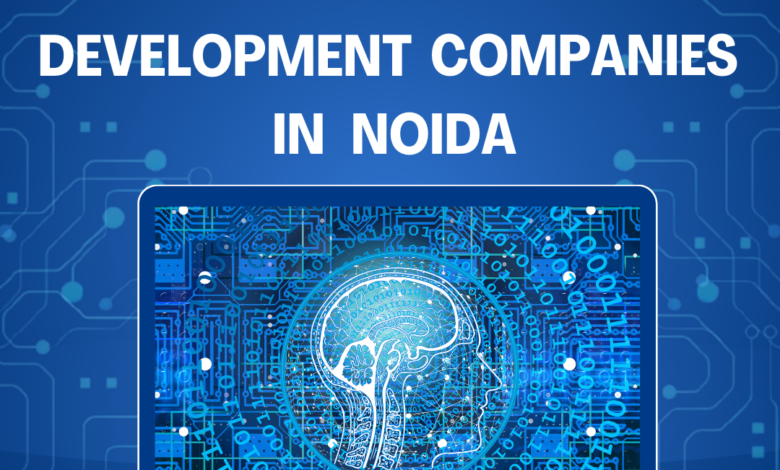 Top Website Development Companies in Noida